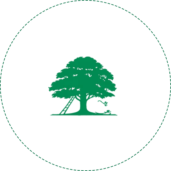 A green tree in the middle of a circle.