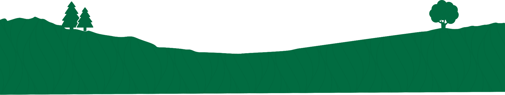 A green background with a white stripe.